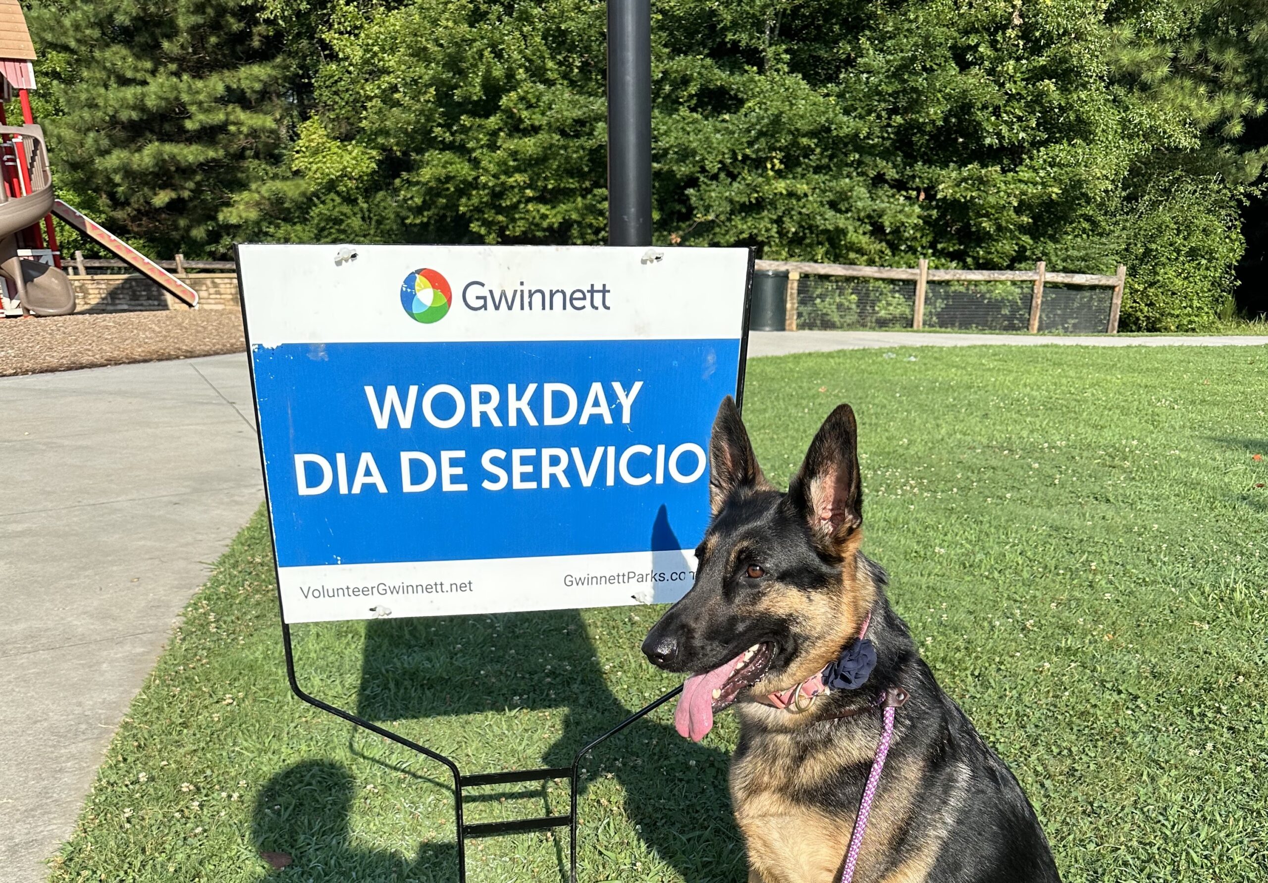 HanaByte Hearts, Gwinnett County Parks and Rec